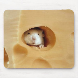 mouse on a mouse mat