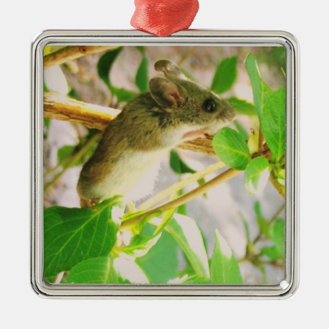 Mouse Ornament (Front)