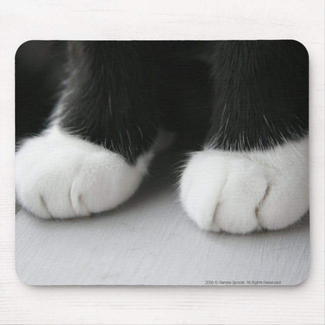 Mouse Pad (Front)