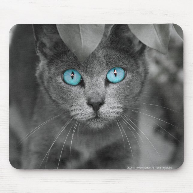 Mouse Pad (Front)