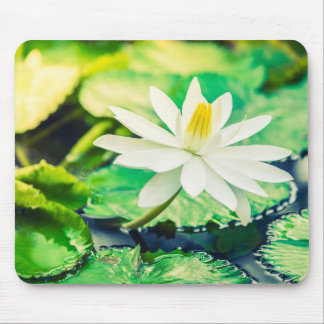 Mouse Pad