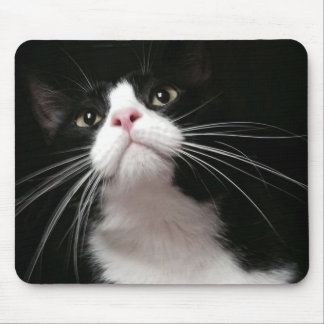 mouse pad