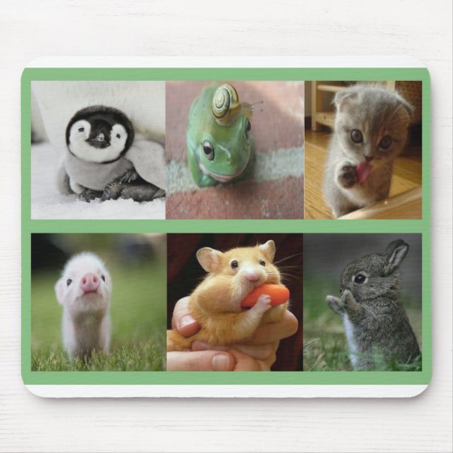 Mouse Pad-Adorable Animals Pad (Front)