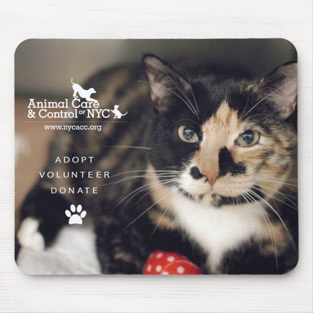 Mouse Pad "Calico" (Front)