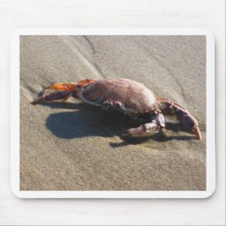 Mouse Pad, Crab, Coast Guard Beach Pad