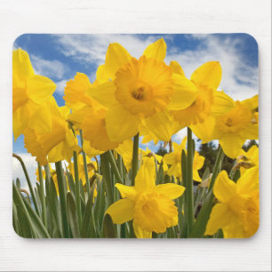 Mouse Pad-Daffodils Mouse Pad