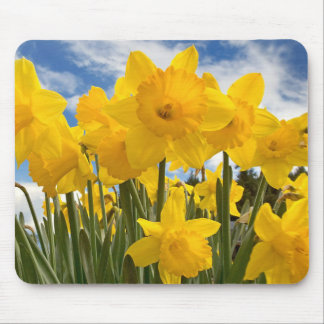 Mouse Pad-Daffodils Pad