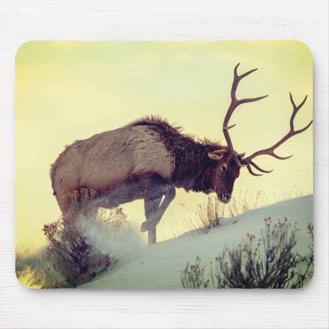mouse pad deer extra grande full speed wild life (Front)