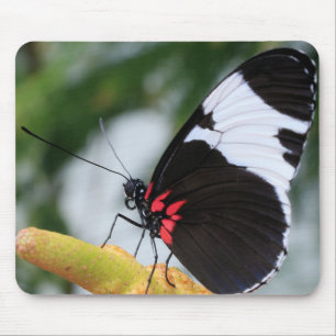 Mouse Pad/Doris Longwing Butterfly Pad