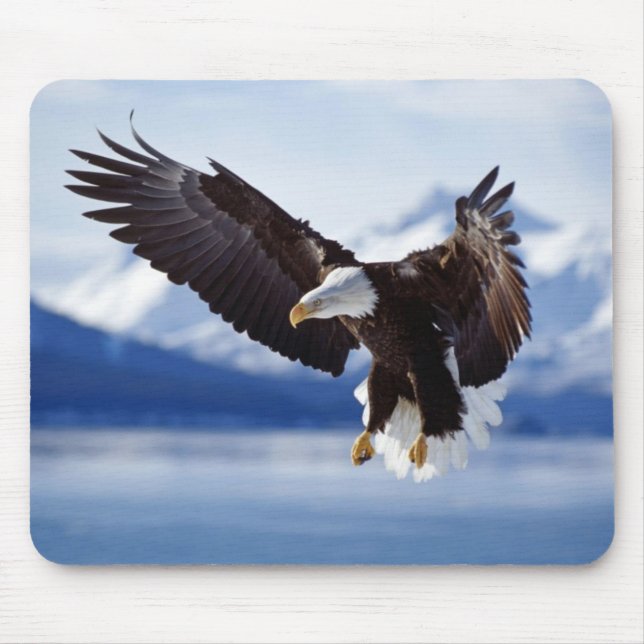 Mouse Pad-Eagle Mouse Pad (Front)
