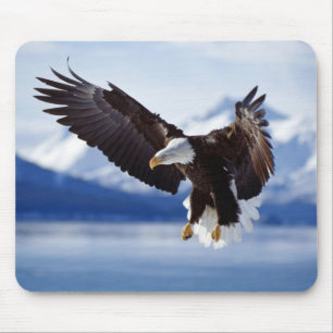 Mouse Pad-Eagle Pad