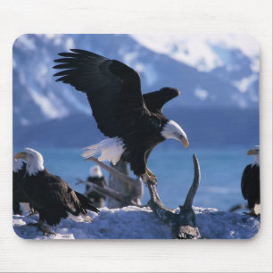 Mouse Pad-Eagles Pad