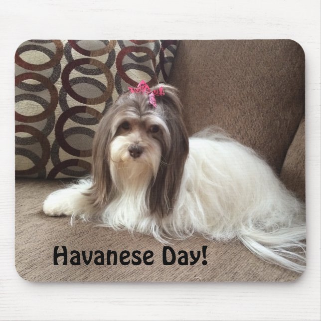 Mouse Pad for Havanese Dog Lovers: Havanese Day! (Front)