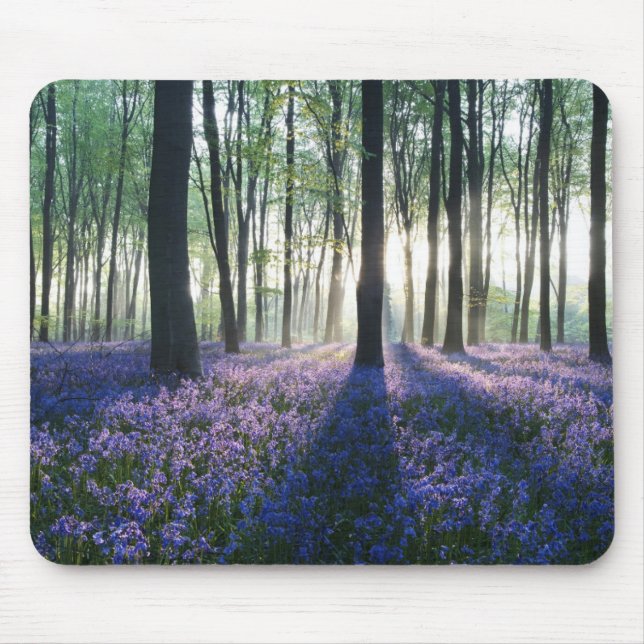 Mouse Pad-Forest Pad (Front)