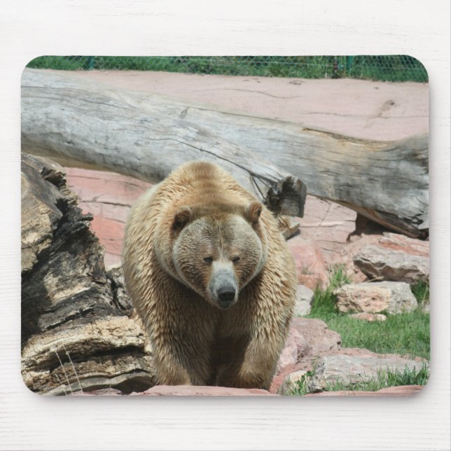 Mouse Pad Grizzly bears of South Dakota (Front)