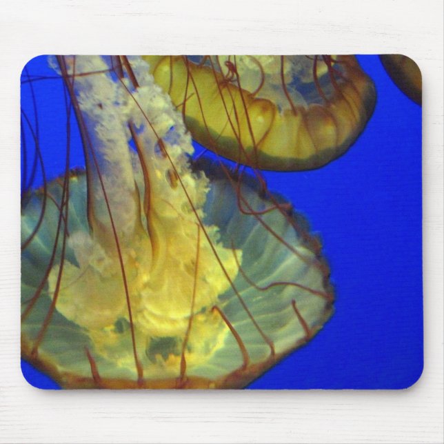 Mouse Pad - Jellyfish (Front)