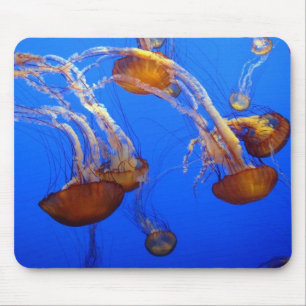 Mouse Pad - Jellyfish