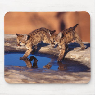 Mouse Pad-Mountain Lion Cubs Pad