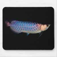 Mouse Pad of Asian arowana “Blue Type”