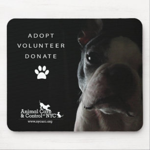 Mouse Pad "Quietly watching"