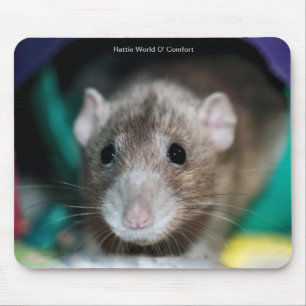 Mouse Pad with a Dumbo Fancy Rat