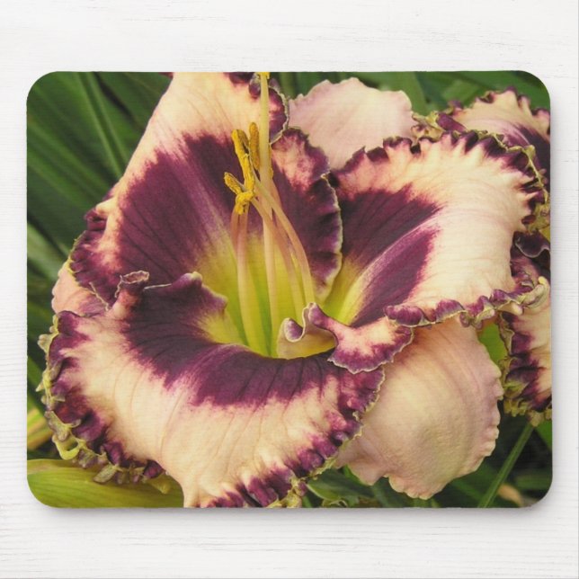 Mouse Pad with Purple Eyed on Peach Daylily (Front)