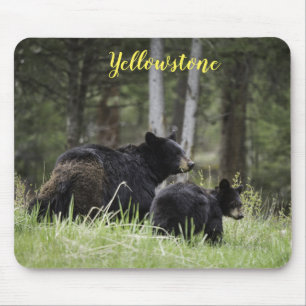 Mouse Pad-Yellowstone Bear Mouse Pad