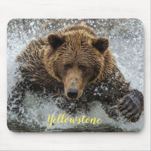 Mouse Pad-Yellowstone Bear Mouse Pad