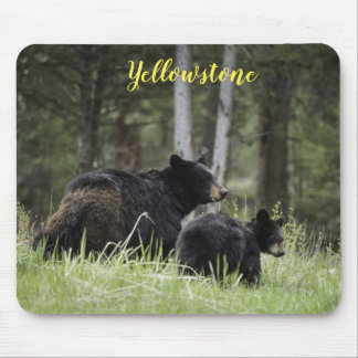 Mouse Pad-Yellowstone Bear Pad