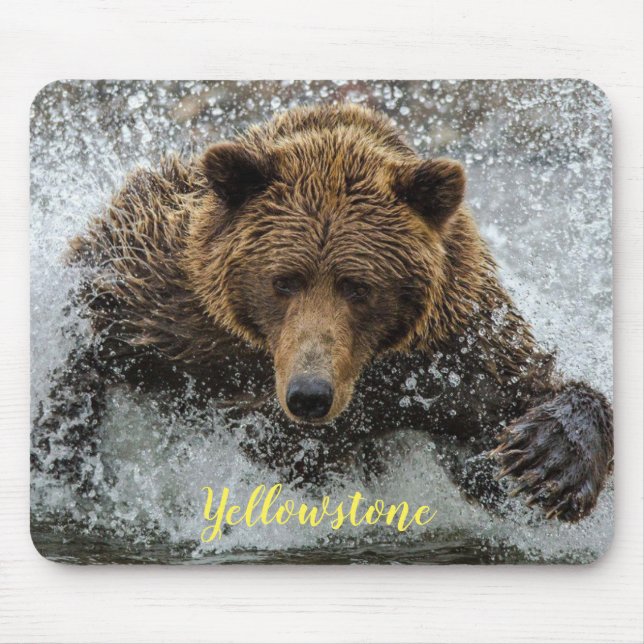 Mouse Pad-Yellowstone Bear Pad (Front)