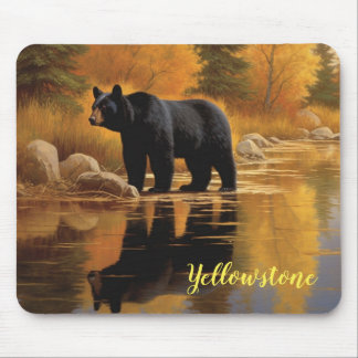 Mouse Pad-Yellowstone Bear Pad