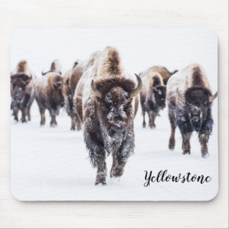 Mouse Pad-Yellowstone Buffalo Pad