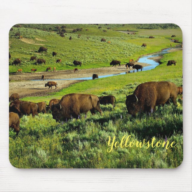 Mouse Pad-Yellowstone Buffalo Pad (Front)
