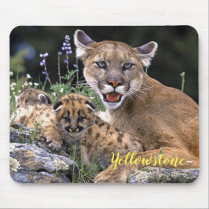 Mouse Pad-Yellowstone Mountain Lion Pad