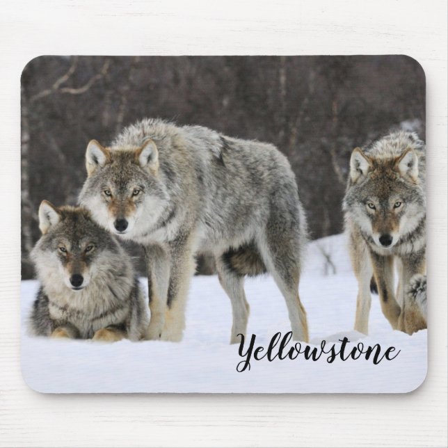 Mouse Pad-Yellowstone Wolves Pad (Front)
