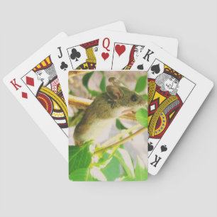 Mouse Playing Cards