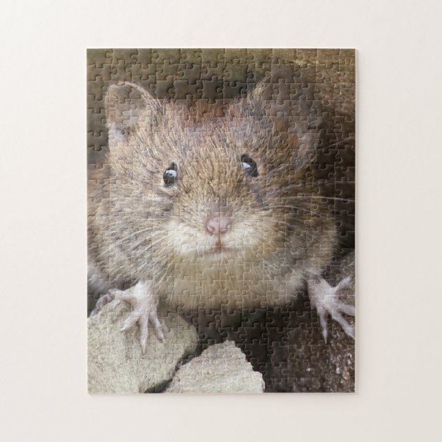 Mouse Portrait Jigsaw Puzzle (Vertical)