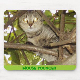 MOUSE POUNCER PAD