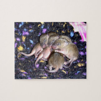 Mouse Puzzle:  Baby Agouti Mice Jigsaw Puzzle