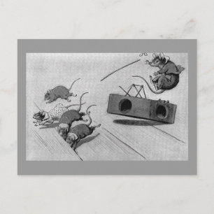 Mouse Safely Springs Mousetrap Postcard