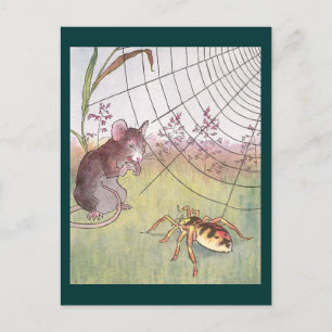 Mouse, Spider and Web in the Meadow Postcard