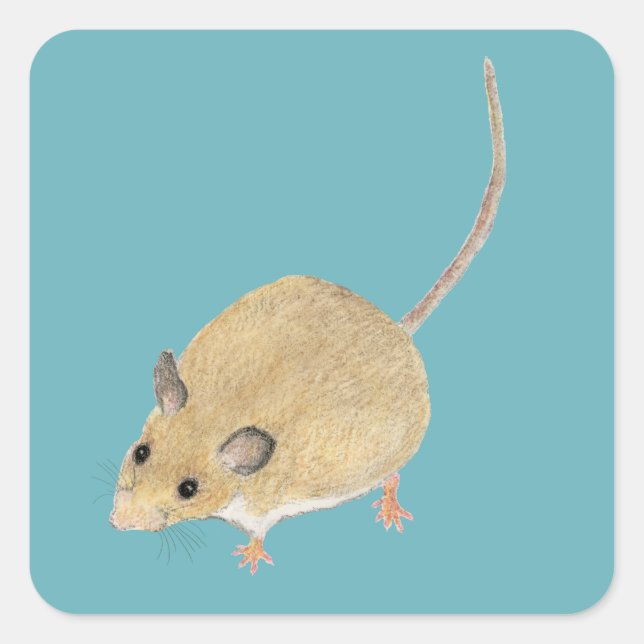 Mouse Square Sticker (Front)
