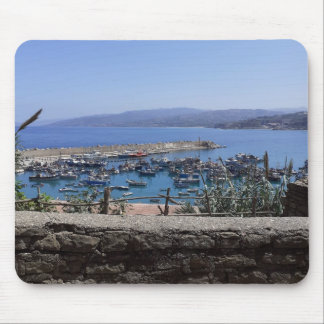 Mouse Summer Carpet Pad