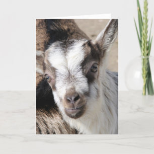 Mouse The Alpine Kid Card