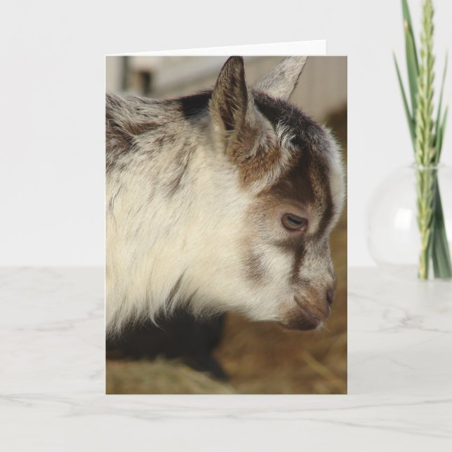 Mouse the Goat Card (Front)