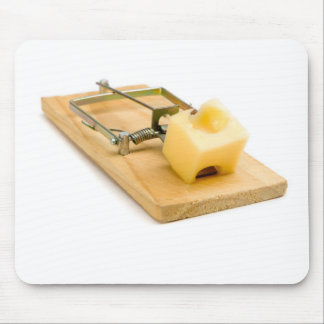 Mouse trap pad