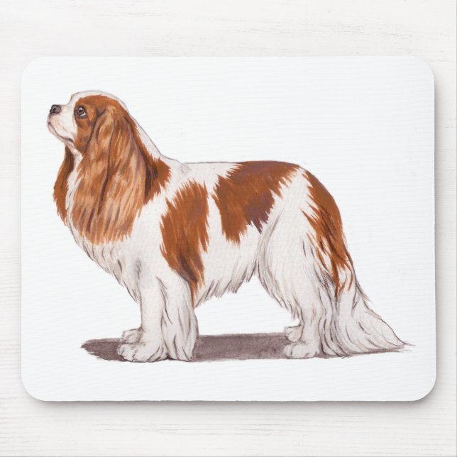 Mousemat : cavalier king charles spaniel (Front)