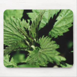 Mousemat Green Mint, Garden, Photo, Customisable