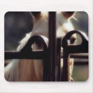 Mousemat Horse Change of Perspective
