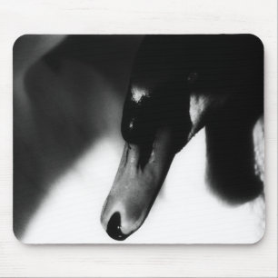 Mousemat White Swan, Photo, Customisable